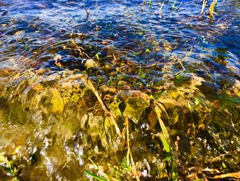 Close-up of rippled water in lake