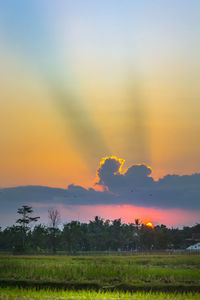Scenic view of field against sky during sunset