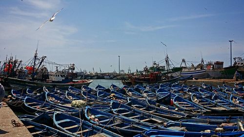 Boats in harbor