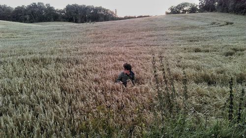 Scenic view of field