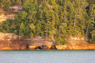 Scenic view of sea against trees in forest