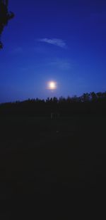 Silhouette of trees on field against sky at night