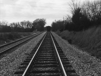 Railroad tracks along trees and plants