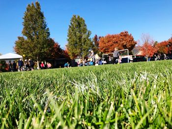 People on field by trees against sky