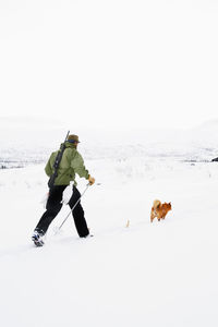 Full length of a dog on snow