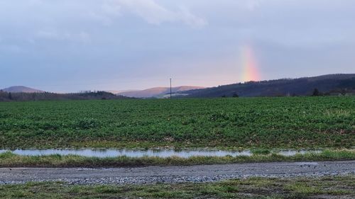 Scenic view of field against rainbow in sky