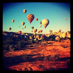 Hot air balloons flying over landscape