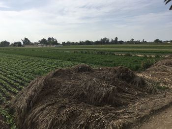 Hay bales on field against sky