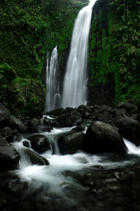 Scenic view of waterfall in forest