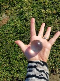 Close-up of woman hand with grass