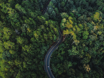 High angle view of road amidst trees in forest