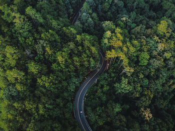 High angle view of road amidst trees in forest