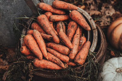 Close-up of carrots