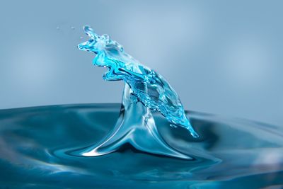 Close-up of water splashing