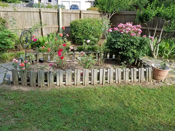 Potted plants on field in yard