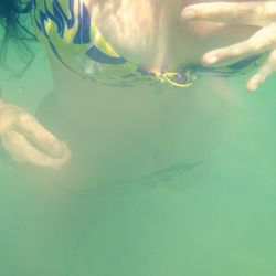 Close-up of coral underwater