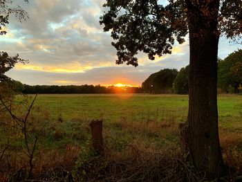 Scenic view of field against sky during sunset