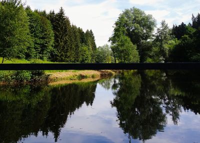 Reflection of trees in lake against sky