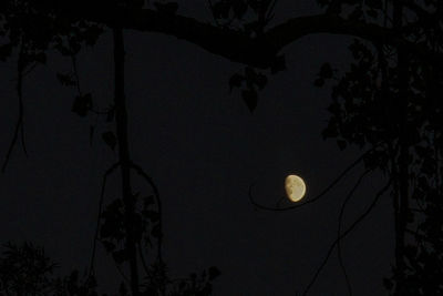 Low angle view of bare trees against sky at dusk