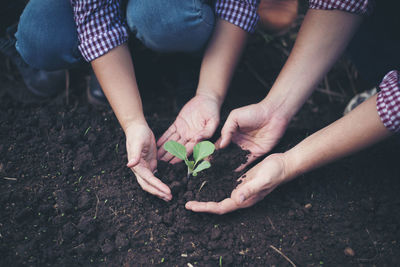 People gardening on field