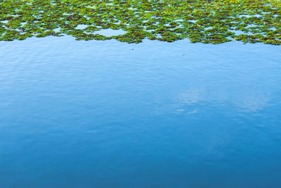 High angle view of swimming pool by lake