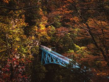 View of bridge in forest during autumn