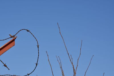 Low angle view of branch against clear blue sky