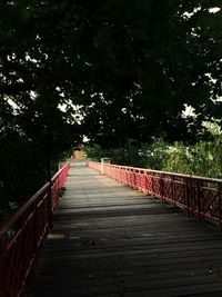 Walkway leading towards trees