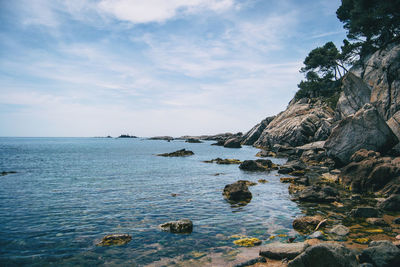 Scenic view of sea against sky