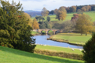 Bridge over river by trees during autumn