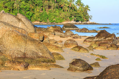 Rocks on beach against sky