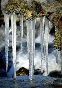 Close-up of ice crystals