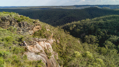 Scenic view of green landscape