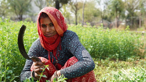 Woman working at agricultural field with blossoming alfalfa, medicago sativa or lucerne blue flowers