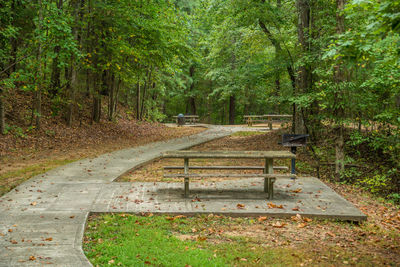 Footpath in park