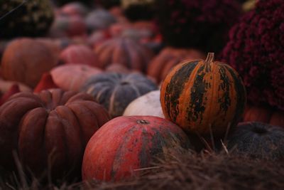Close-up of pumpkins for sale at market