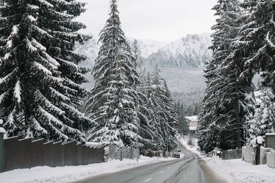 Snow covered road amidst trees against mountain and sky during winter