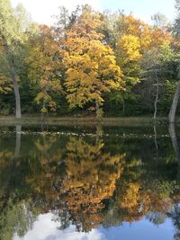 Scenic view of lake by trees during autumn