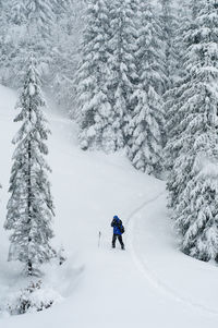 High angle view of man photographing while standing on snow covered land