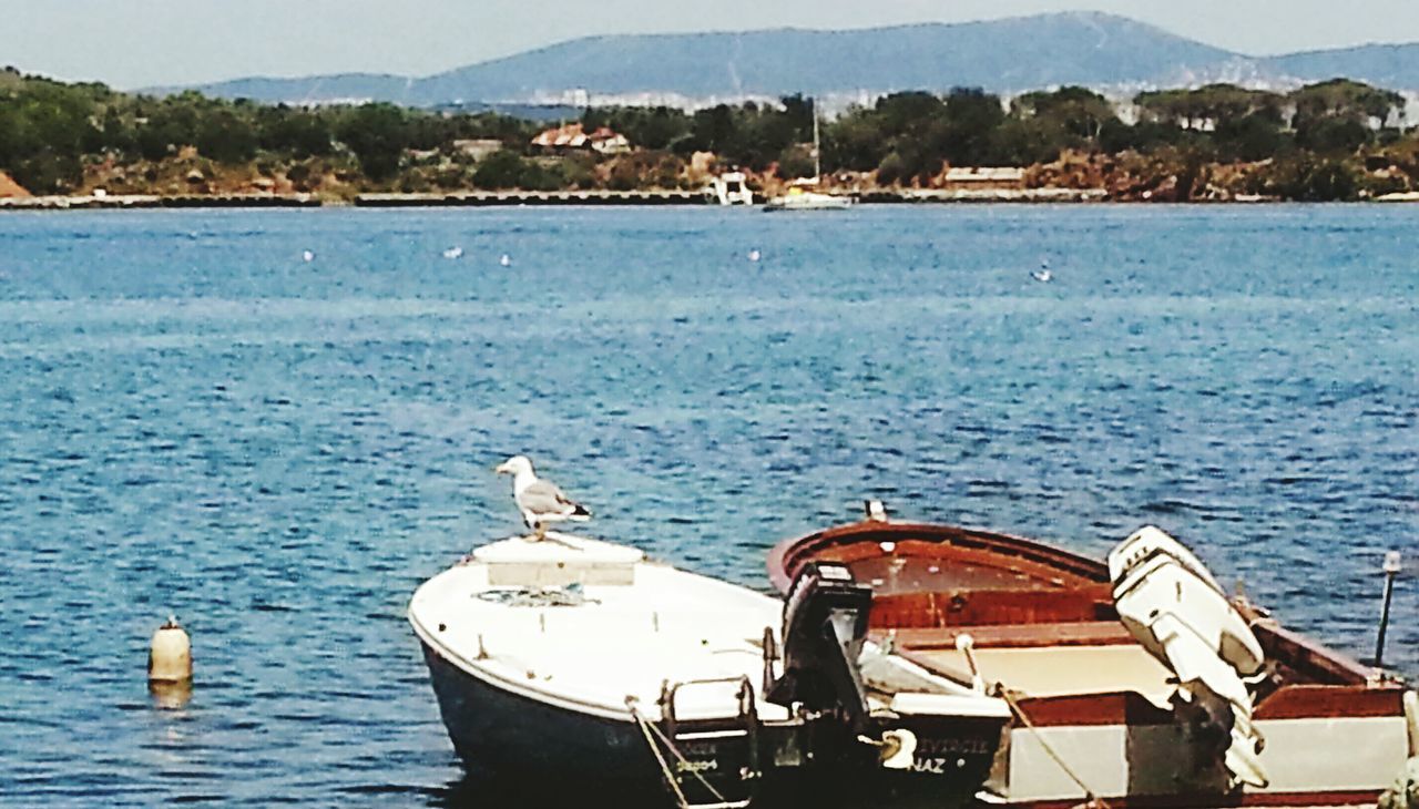 water, nautical vessel, transportation, sea, boat, mode of transport, mountain, tranquil scene, scenics, blue, bird, tranquility, nature, beauty in nature, rippled, animal themes, sky, wildlife, animals in the wild, waterfront