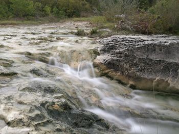 Scenic view of waterfall in forest