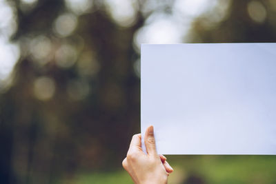 Close-up of hand holding leaf against blurred background