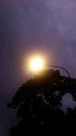 Low angle view of silhouette trees against sky during sunset