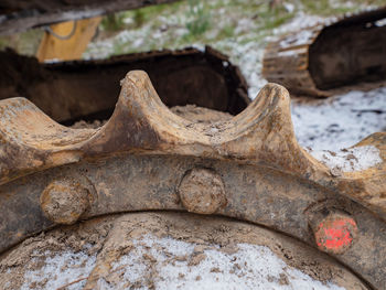 Rusty gear of tracked bulldozer. gear metal part of the tractor caterpillar.