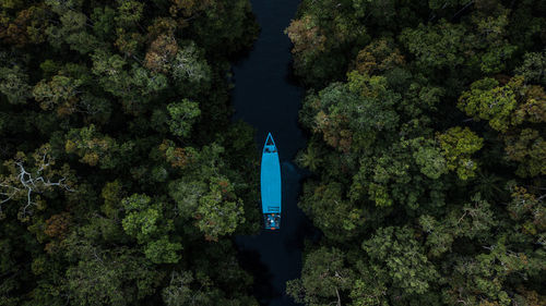 High angle view of sea by trees at night