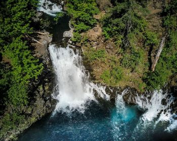 Scenic view of waterfall in forest