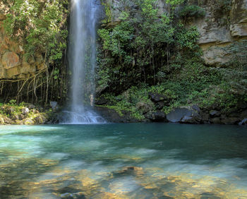 View of waterfall in forest