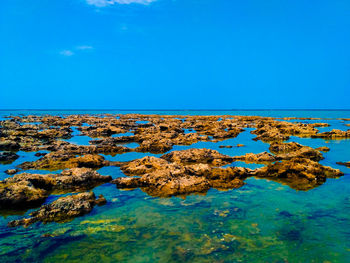 Scenic view of sea against blue sky