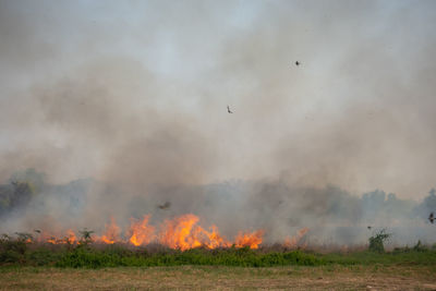 Panoramic view of fire on field against sky