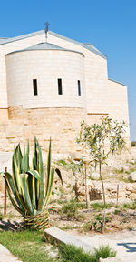 Plants growing on old building against clear sky